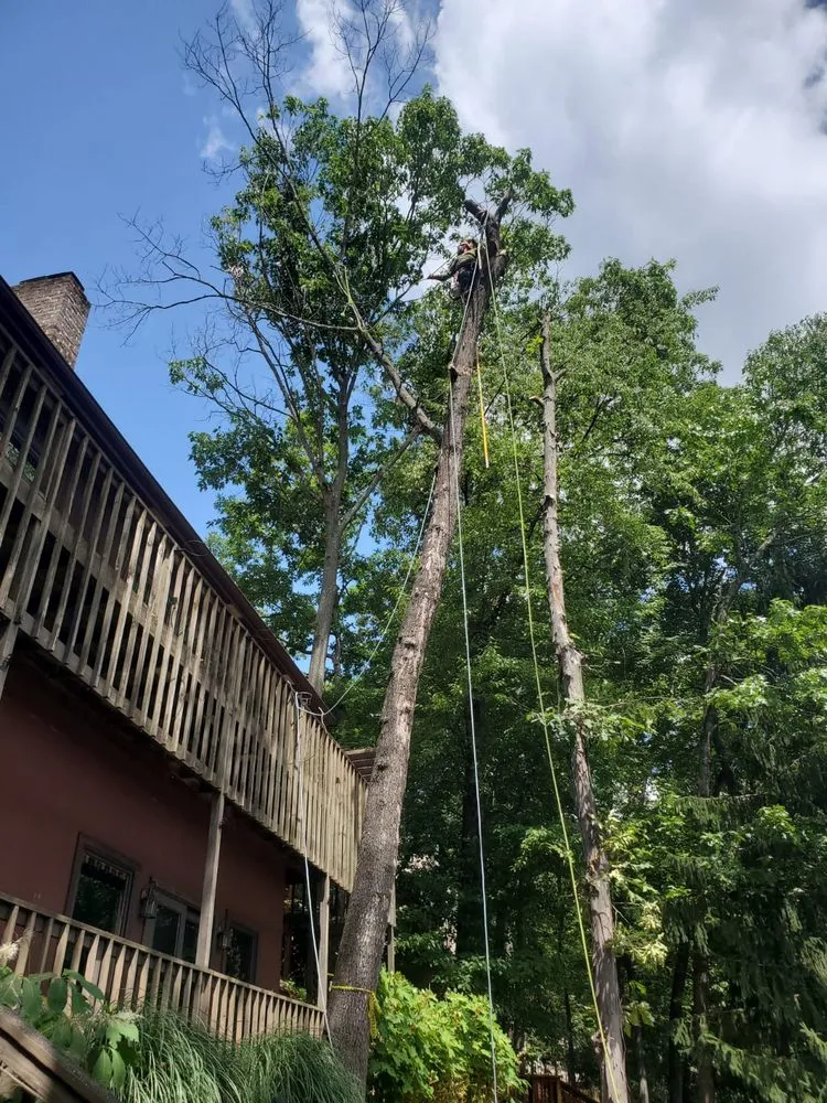 Local landscaping services for homes in Winchester, VA by Spring Hill Landscaping