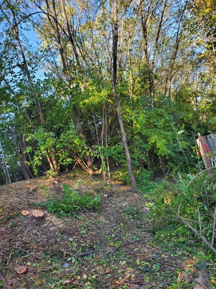 Affordable residential landscaping in Winchester, VA - Spring Hill Landscaping