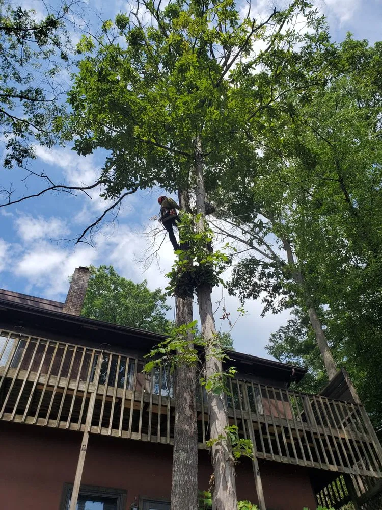 Trusted yard maintenance for outdoor upgrades across Winchester, VA - Spring Hill Landscaping