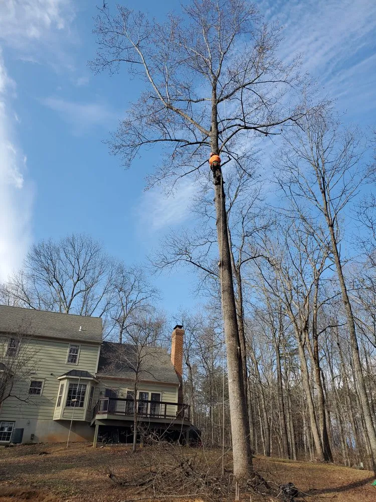 Professional outdoor landscaping in Winchester, VA - Spring Hill Landscaping