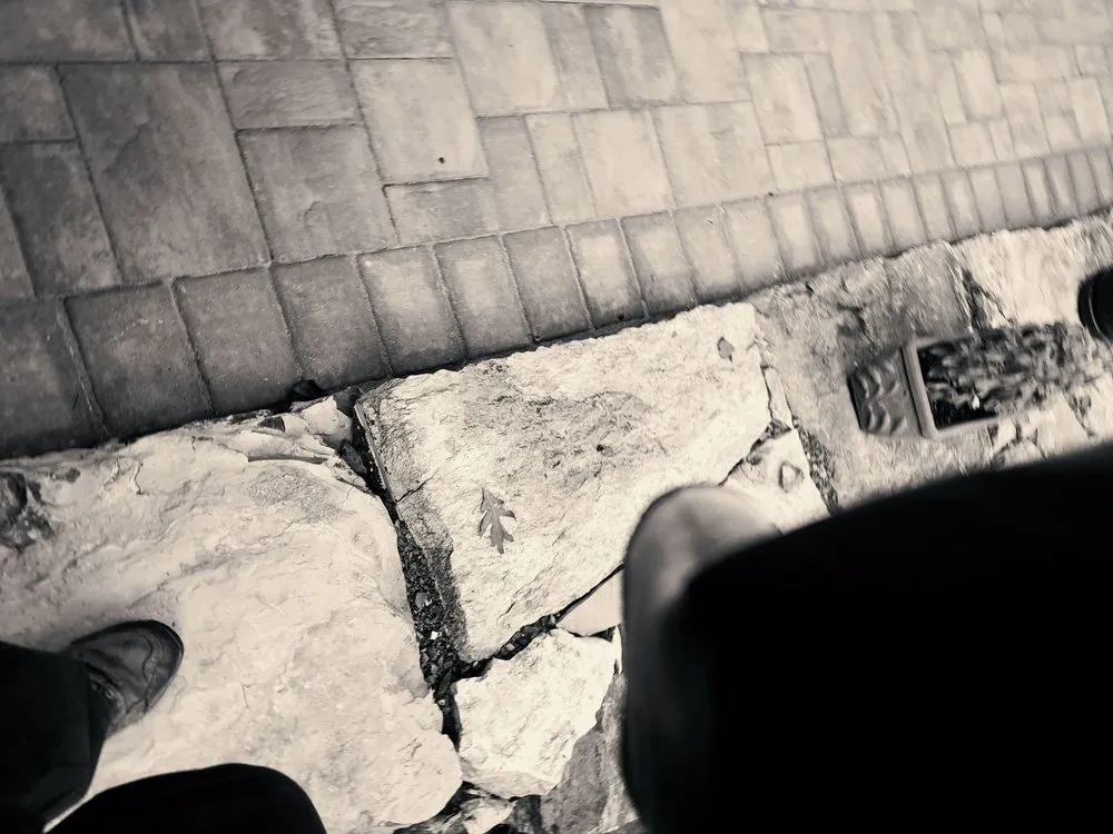 Trusted landscape installation for year-round maintenance in Winchester, VA by Spring Hill Landscaping