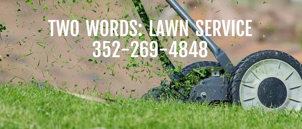 Custom lawn care service in Spring Hill, FL by Spring Hill Lawn Service