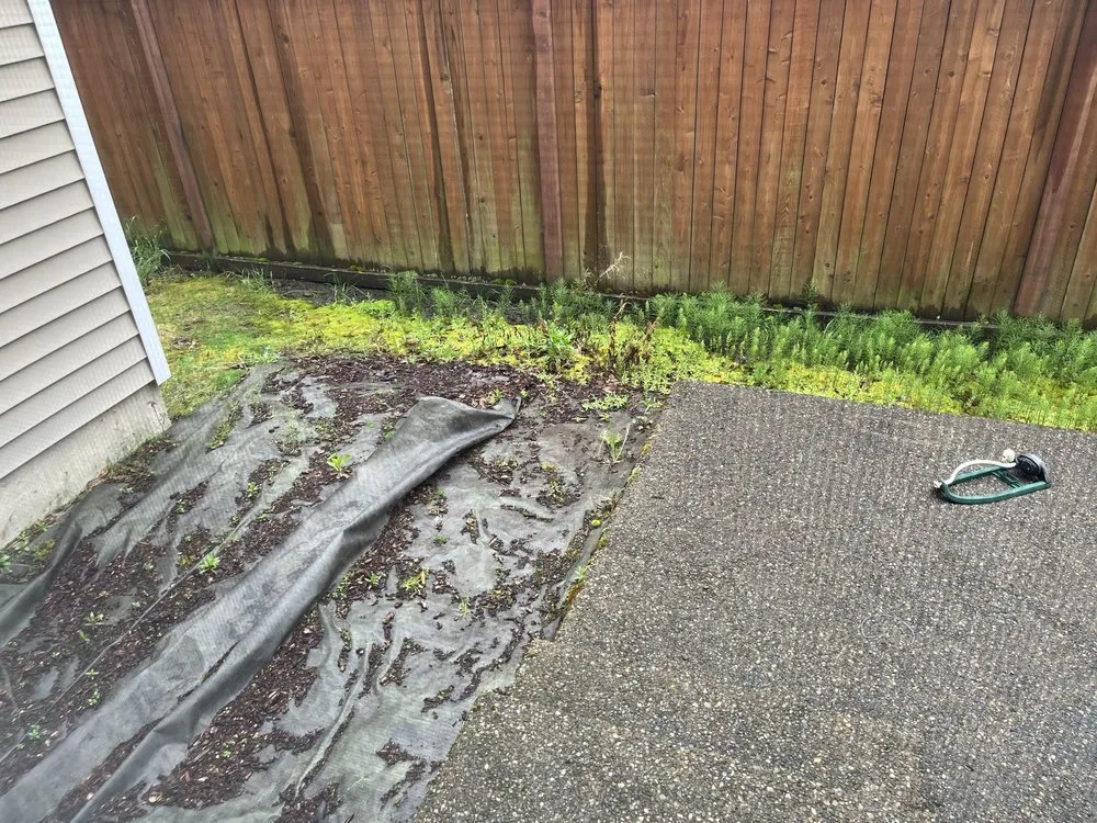 Custom landscaping services in Auburn, WA by Spring Landscape