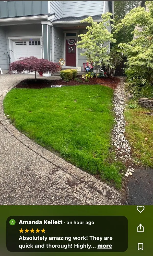 Trusted lawn care service for outdoor upgrades across Auburn, WA - Spring Landscape