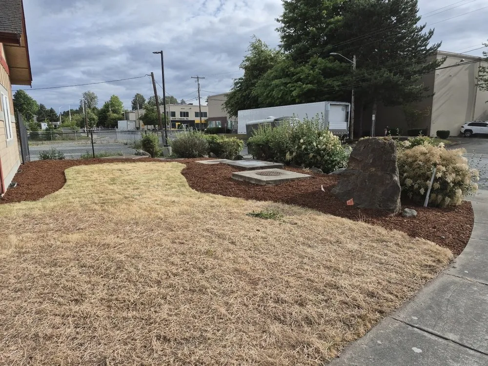 Trusted residential landscaping experts serving Auburn, WA - Spring Landscape