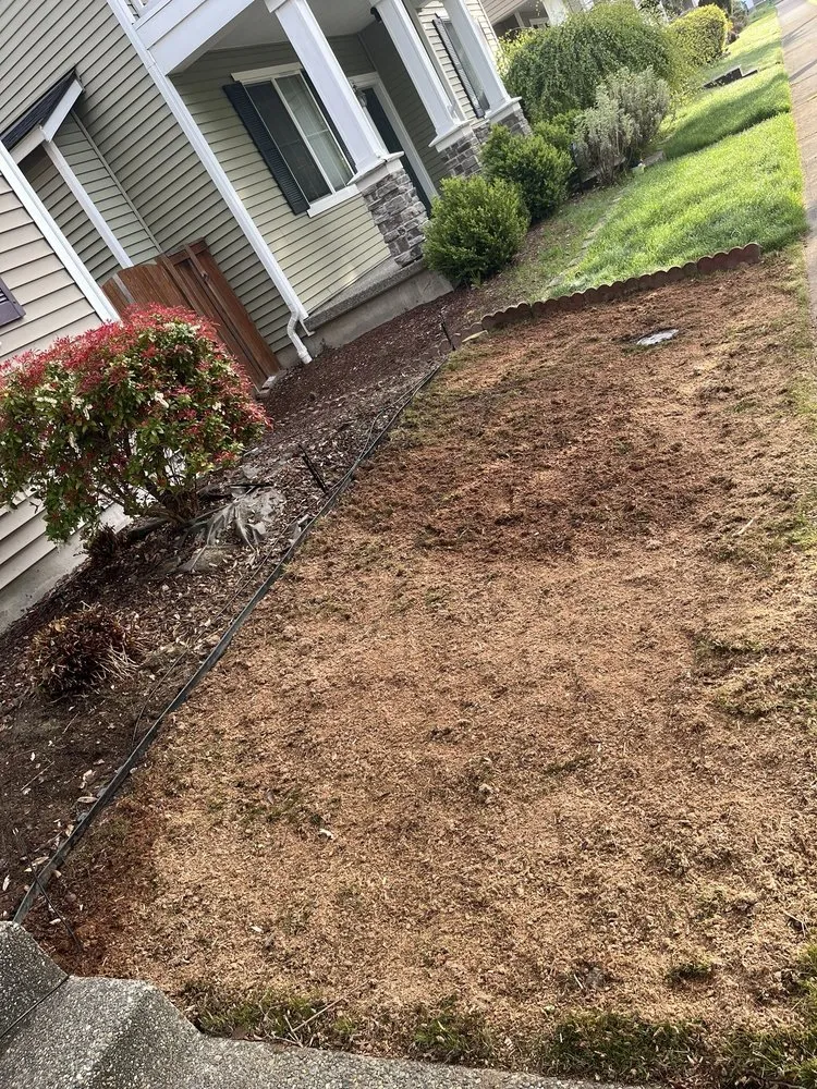 Expert yard cleanup service for outdoor upgrades across Auburn, WA - Spring Landscape