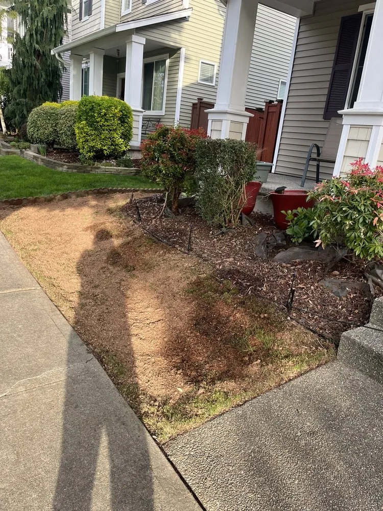 Custom residential landscaping experts serving Auburn, WA - Spring Landscape