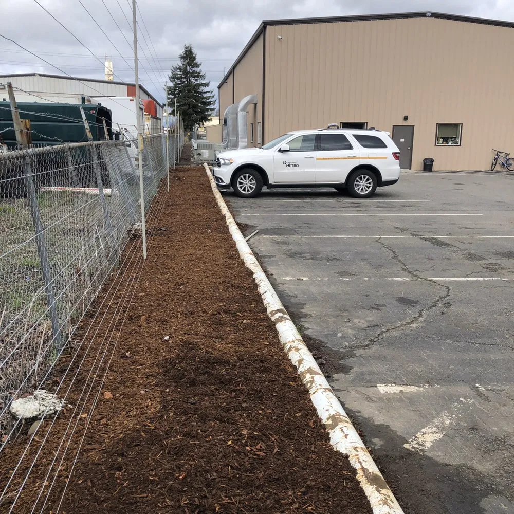 Top-rated yard cleanup service for outdoor upgrades in Auburn, WA by Spring Landscape