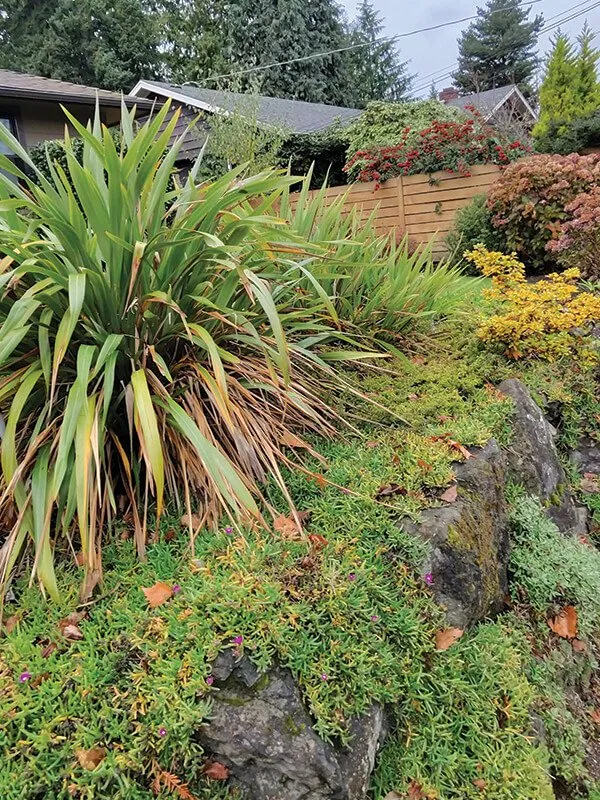 Professional landscaping services in Auburn, WA by Spring Landscape