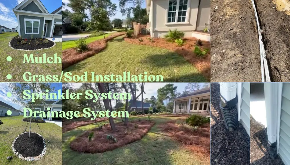Top-rated landscape design in Myrtle Beach, SC - Spring Landscape