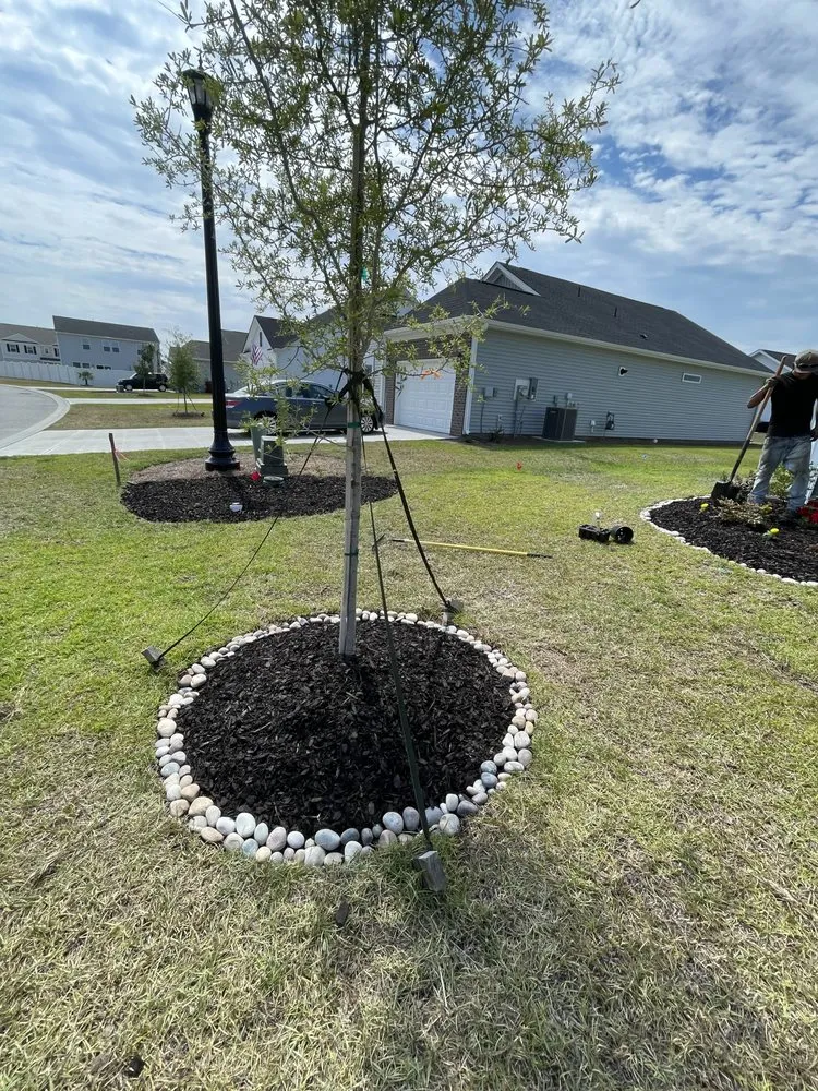 Professional lawn care service for year-round maintenance across Myrtle Beach, SC - Spring Landscape
