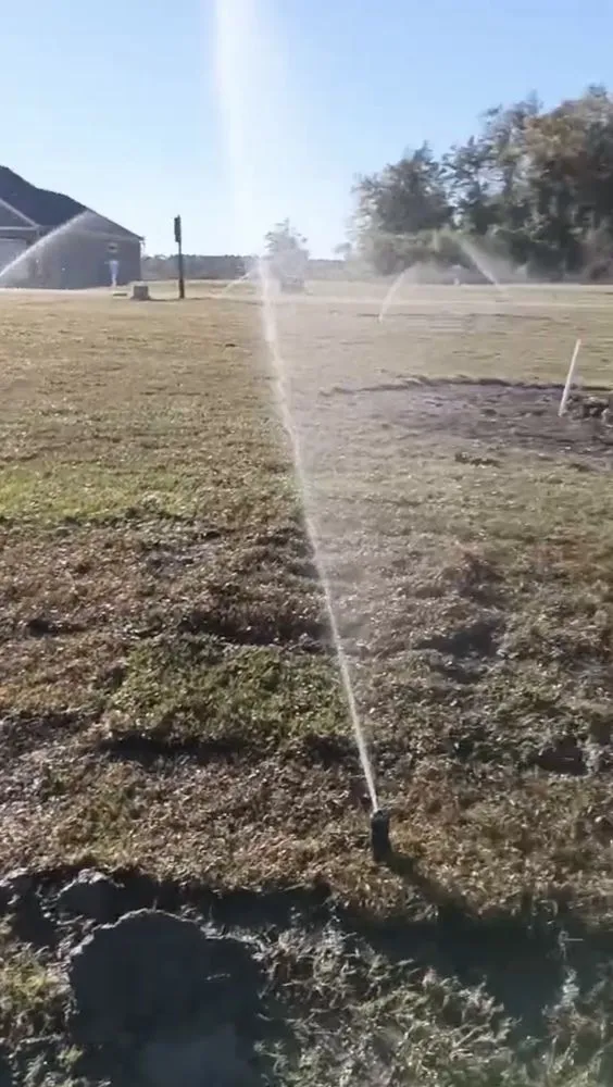 Top-rated garden landscaping near you across Myrtle Beach, SC - Spring Landscape