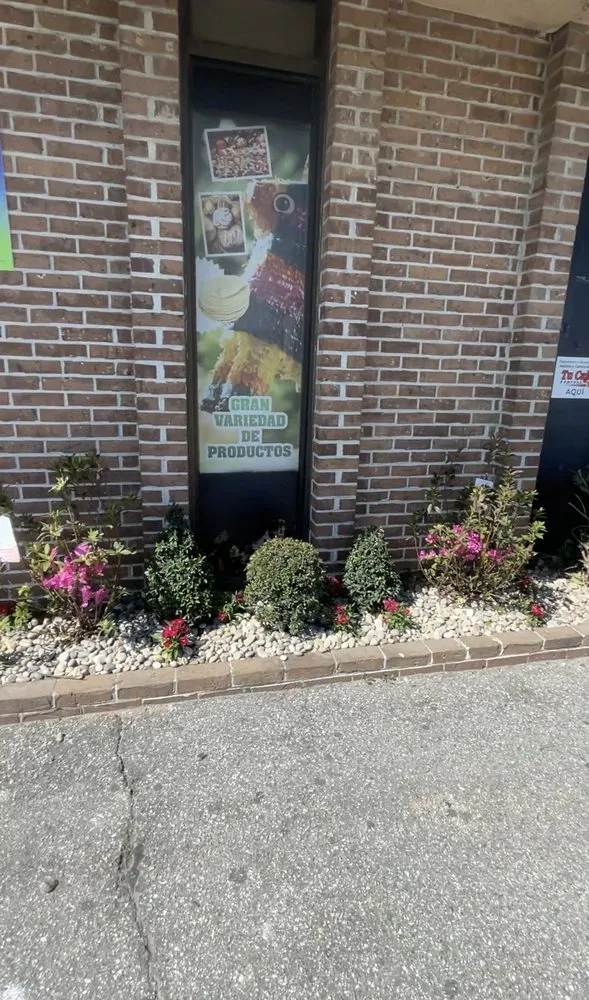 Affordable garden landscaping experts serving Myrtle Beach, SC - Spring Landscape