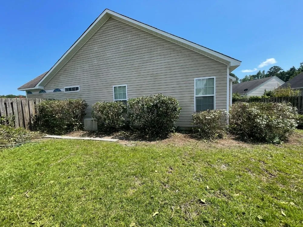 Reliable landscaping services in Myrtle Beach, SC - Spring Landscape