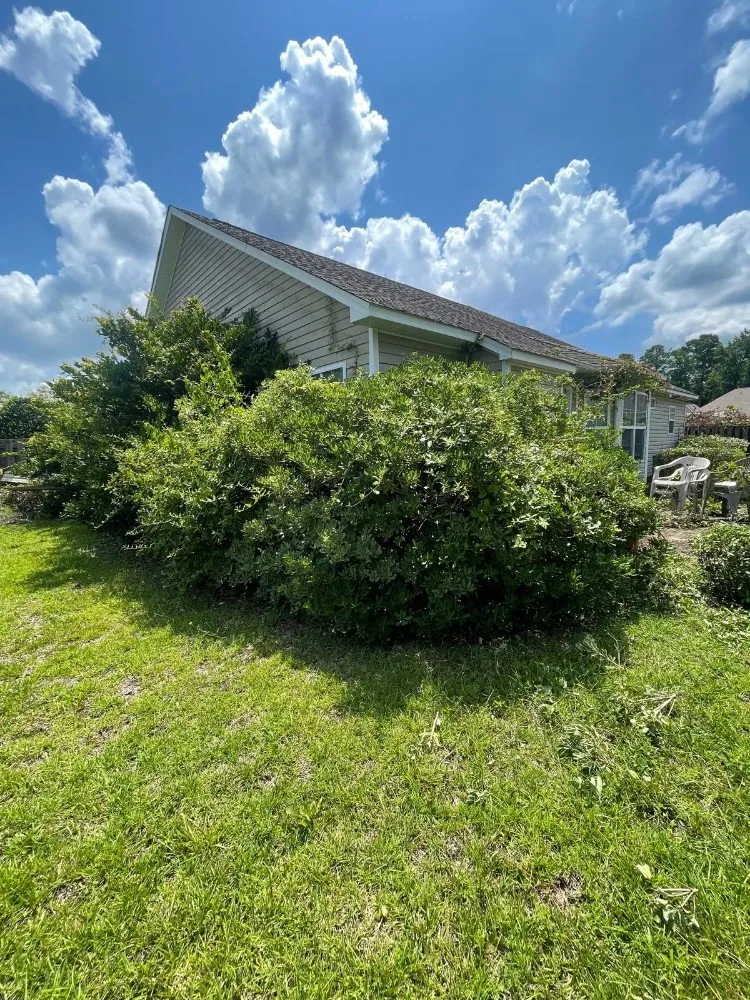 Reliable lawn mowing service for beautiful yards in Myrtle Beach, SC by Spring Landscape