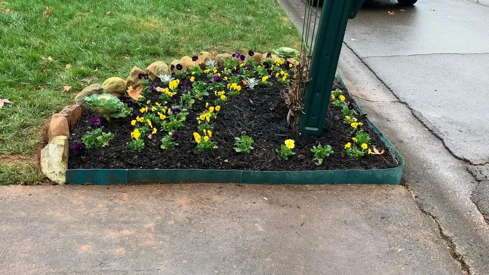 Professional yard maintenance experts serving Woodstock, GA - Spring Landscape