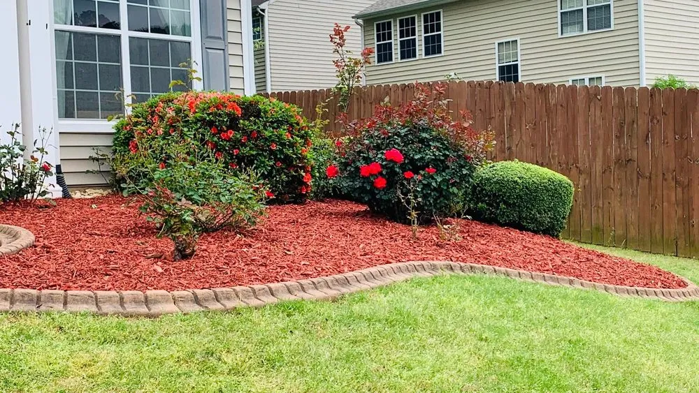 Top-rated yard cleanup service for year-round maintenance in Woodstock, GA by Spring Landscape