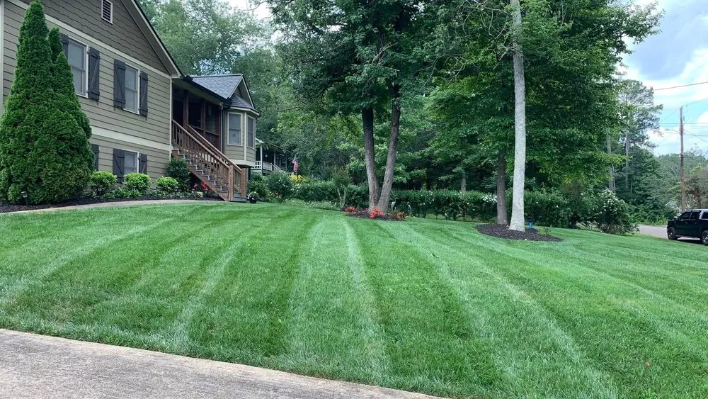 Trusted yard maintenance for outdoor upgrades across Woodstock, GA - Spring Landscape