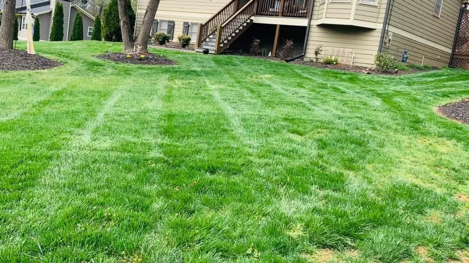 Top-rated landscaping services in Woodstock, GA - Spring Landscape