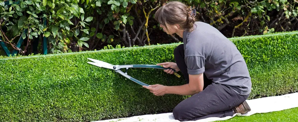 Local lawn mowing service in Aspen Hill, MD by Spring Landscaping