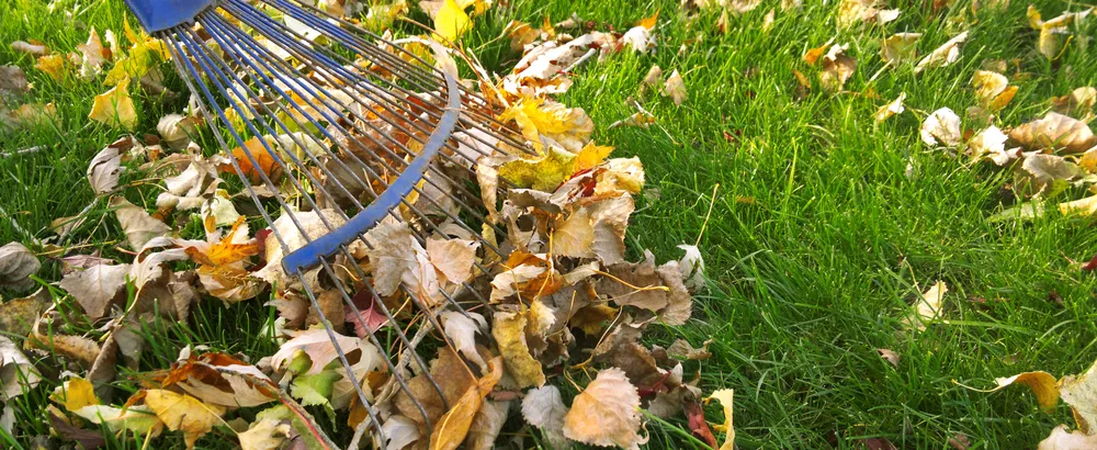 Professional landscaping services in Aspen Hill, MD - Spring Landscaping