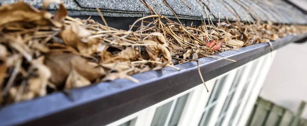 Professional lawn mowing service in Aspen Hill, MD - Spring Landscaping