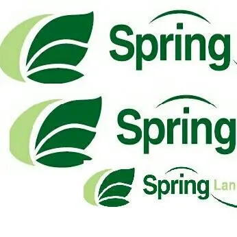 Reliable yard cleanup service in Aspen Hill, MD by Spring Landscaping