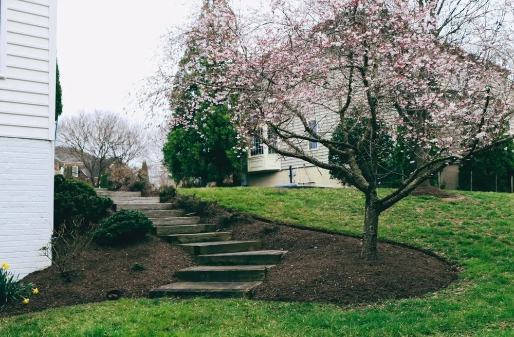 Reliable landscape design experts serving Aspen Hill, MD - Spring Landscaping