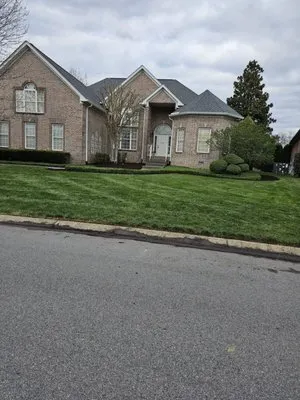 Spring Landscaping Logo