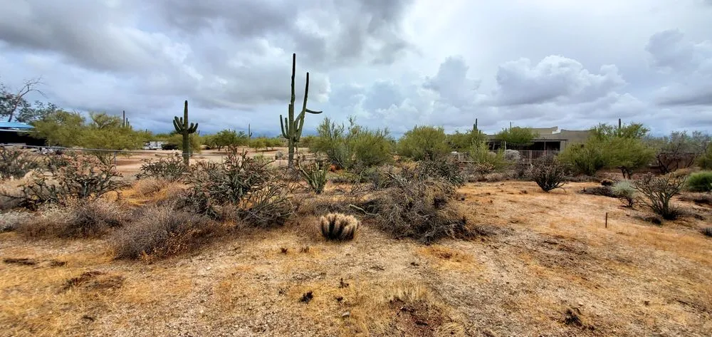 Trusted landscape installation in Phoenix, AZ by Spring Landscaping