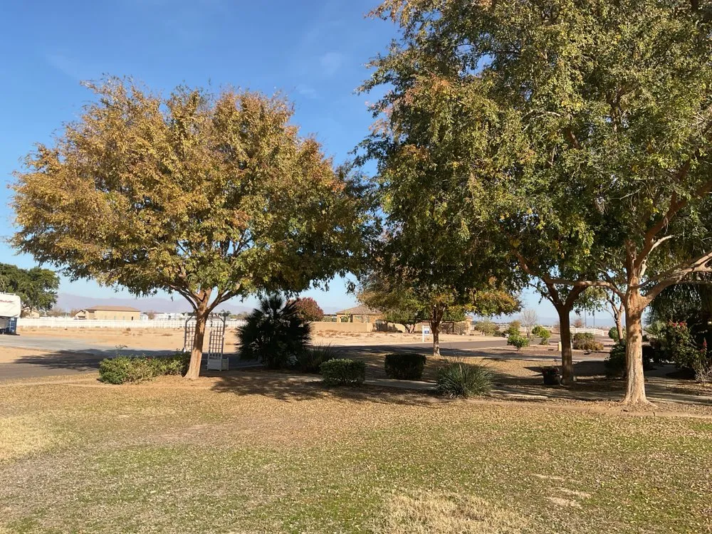 Professional yard maintenance for year-round maintenance in Phoenix, AZ by Spring Landscaping