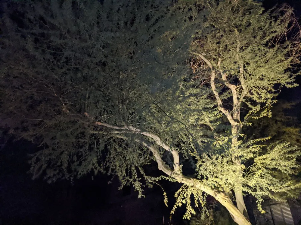 Professional garden landscaping in Phoenix, AZ by Spring Landscaping