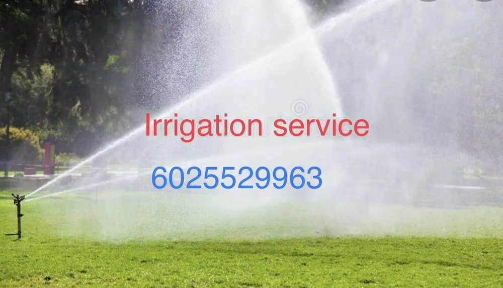 Expert residential landscaping with custom design across Phoenix, AZ - Spring Landscaping