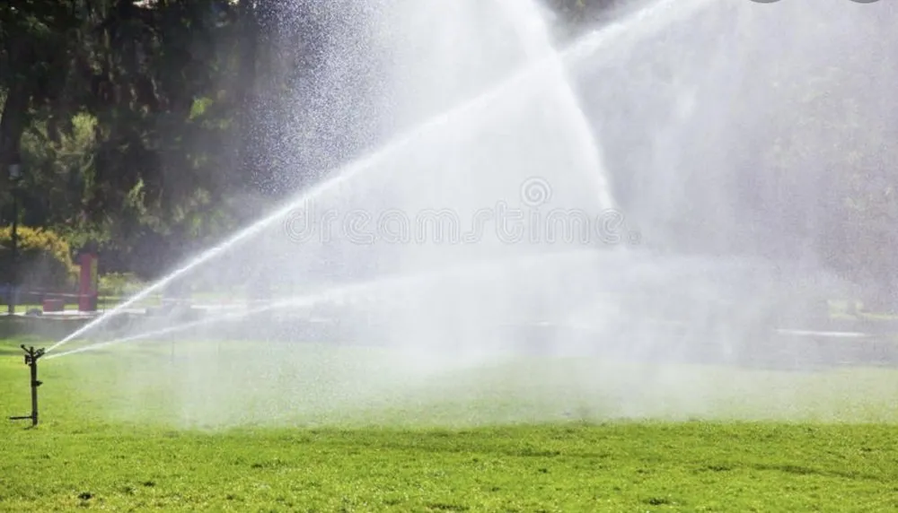 Reliable landscaping services in Phoenix, AZ - Spring Landscaping