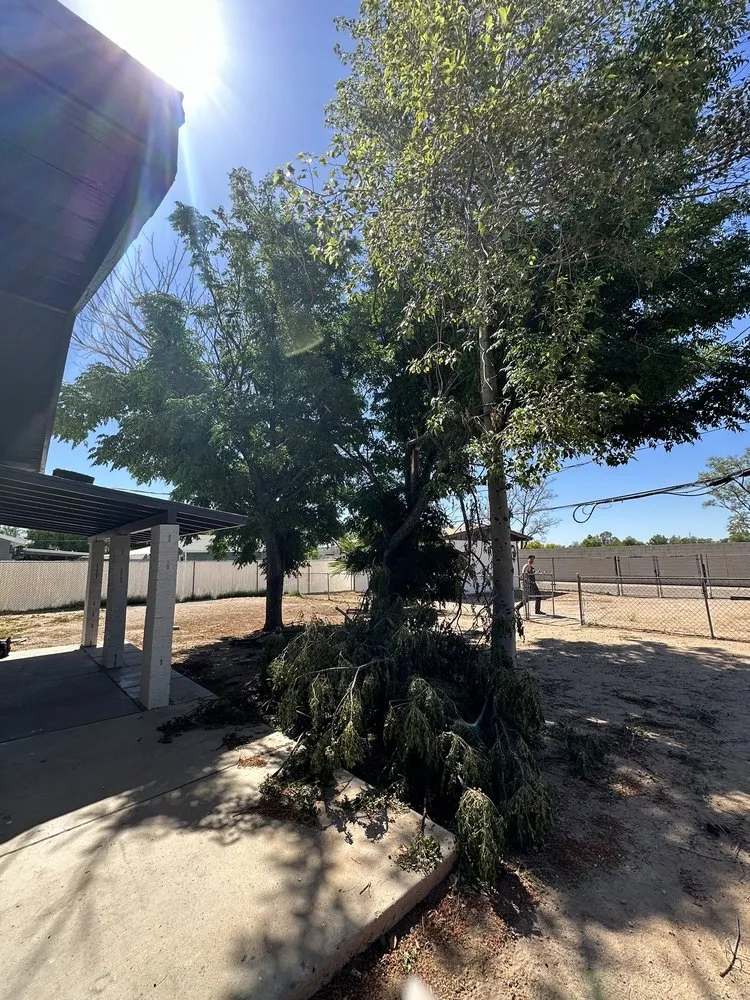 Reliable garden landscaping for residential properties across Phoenix, AZ - Spring Landscaping