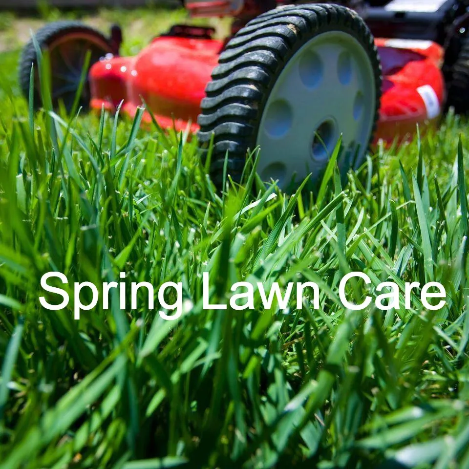 Professional landscaping services for beautiful yards across Swartz Creek, MI - Spring Lawn Care