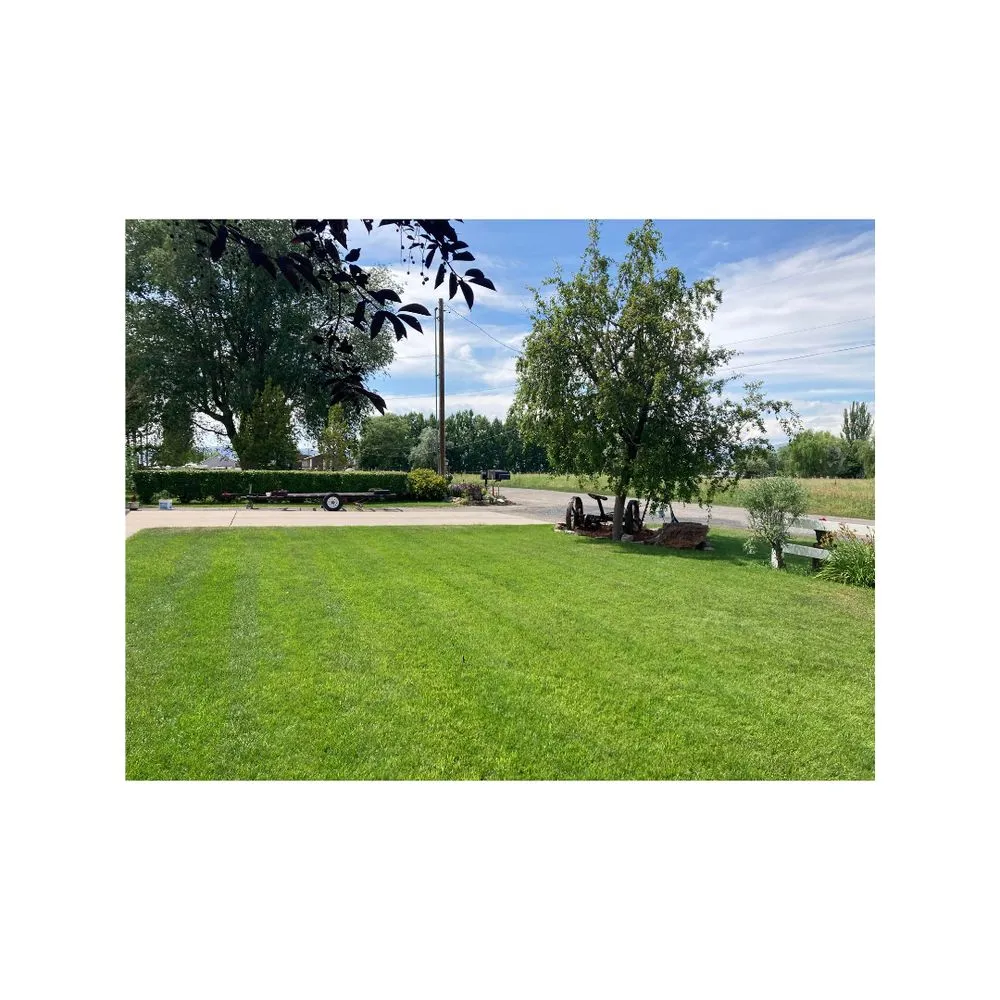 Expert lawn mowing service with custom design across Preston, ID - Spring Pest and Lawn