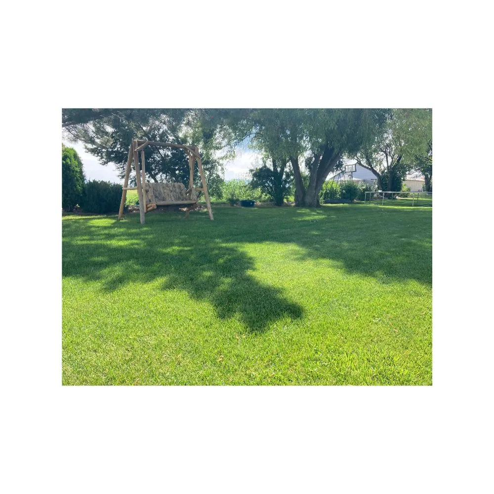 Custom yard cleanup service for beautiful yards across Preston, ID - Spring Pest and Lawn