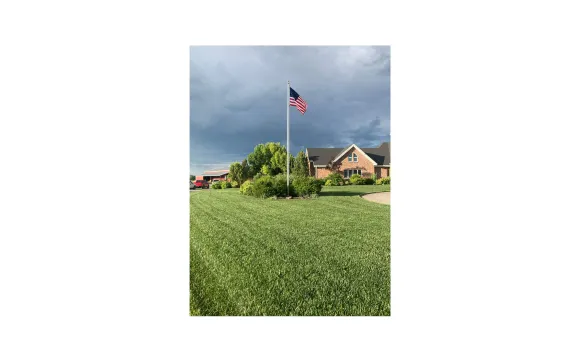 Spring Pest and Lawn