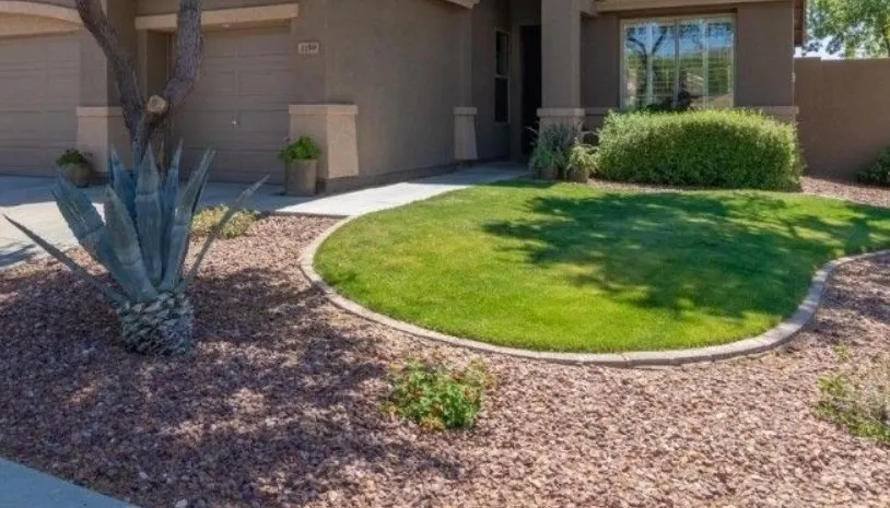 Professional lawn care service in Chandler, AZ by Spring State Landscaping