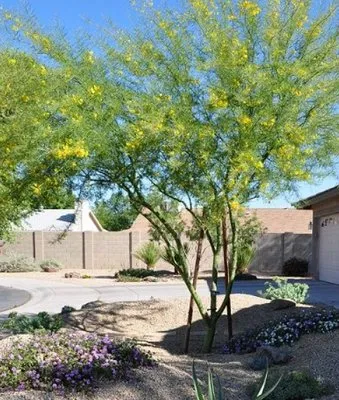 Spring State Landscaping Logo