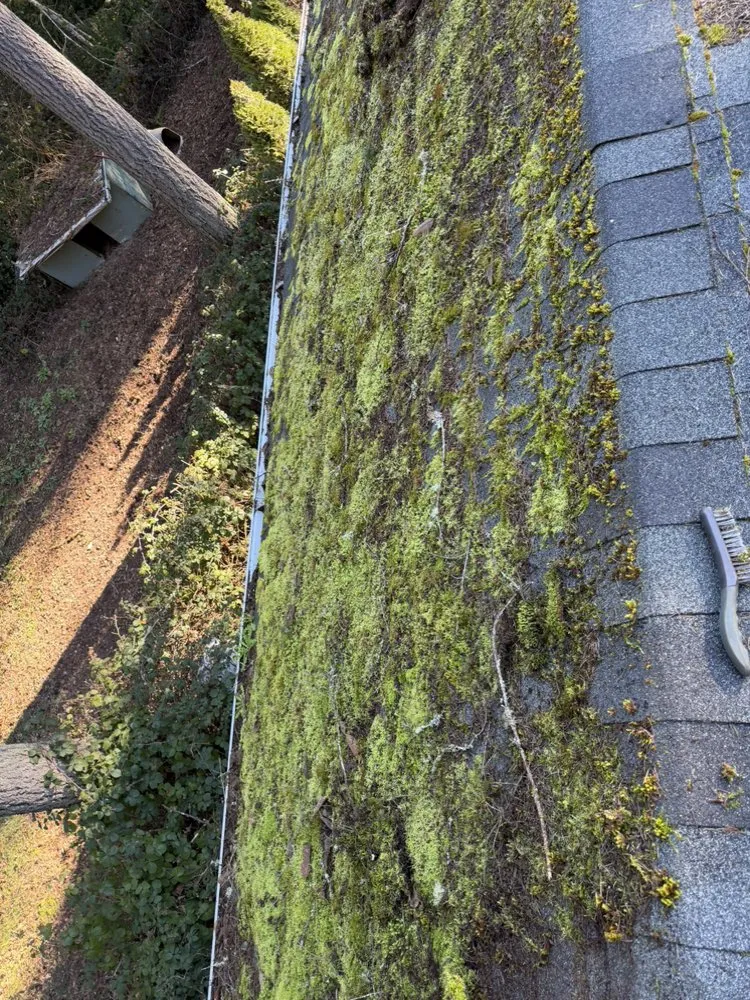 Trusted yard maintenance for year-round maintenance across Bremerton, WA - Spring Time & Landscape