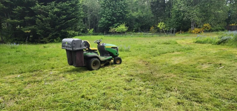 Reliable yard maintenance with custom design in Bremerton, WA by Spring Time & Landscape