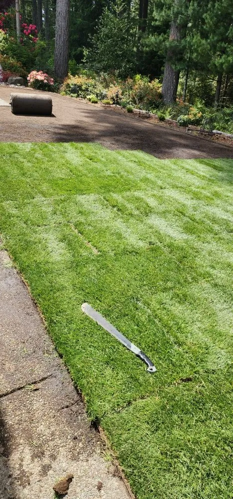 Custom landscape design experts serving Bremerton, WA - Spring Time & Landscape