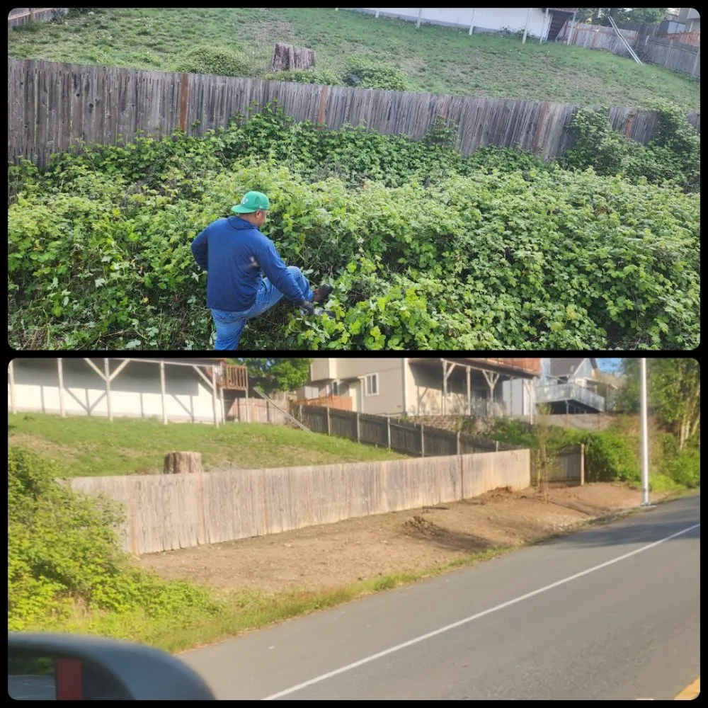 Custom yard maintenance for homes across Bremerton, WA - Spring Time & Landscape