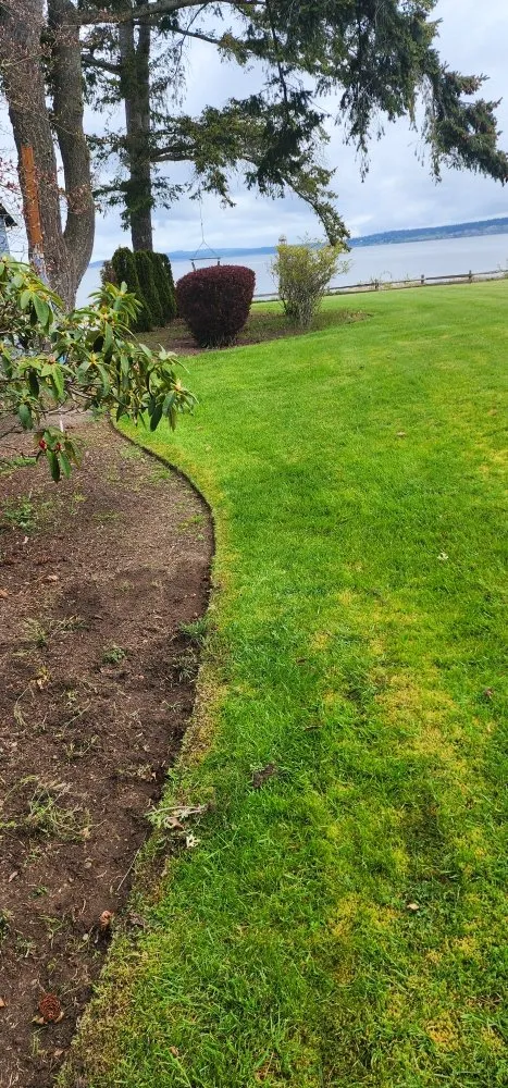 Expert yard maintenance for outdoor upgrades in Bremerton, WA by Spring Time & Landscape
