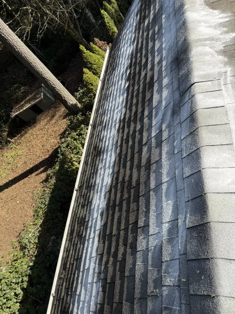 Affordable landscaping services for year-round maintenance in Bremerton, WA by Spring Time & Landscape