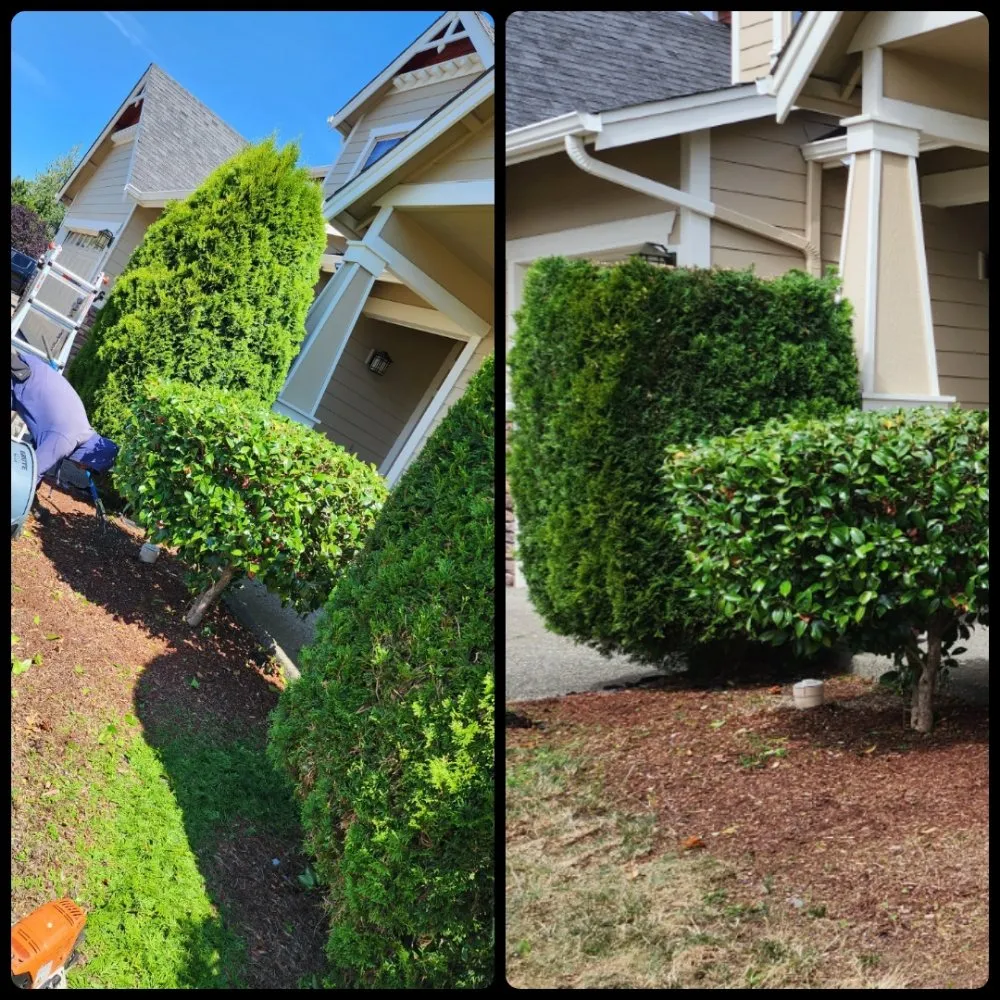 Custom landscaping services for outdoor upgrades in Bremerton, WA by Spring Time & Landscape