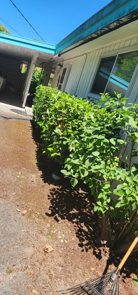 Professional garden landscaping with custom design in Bremerton, WA by Spring Time & Landscape