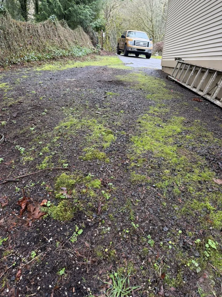 Professional landscape installation in Bremerton, WA - Spring Time & Landscape